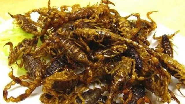 山东省四大怪菜，当地人看了直流口水，外地人直呼：下不去嘴