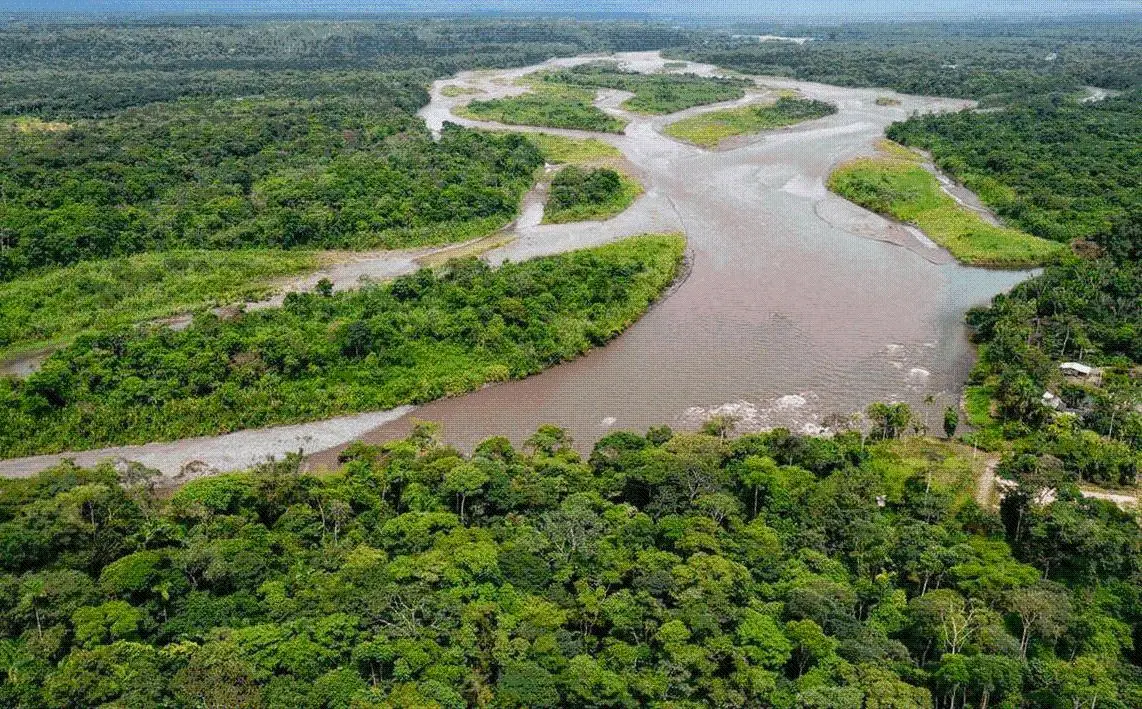 地球之肺”亚马逊雨林在哪个国家？它是怎么形成的？
