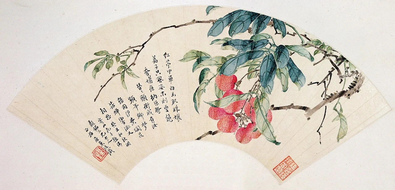 苏轼笔下的岭南荔枝小宇宙