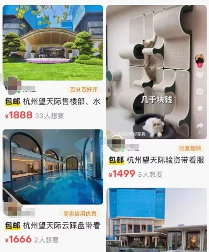 杭州豪宅验资门槛最高升至8000万元,二手平台1888元就能“代验资看房”?