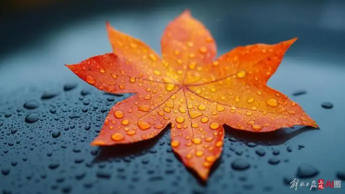 上海官宣入秋!近十年最早的秋天来了,秋雨还要持续多久