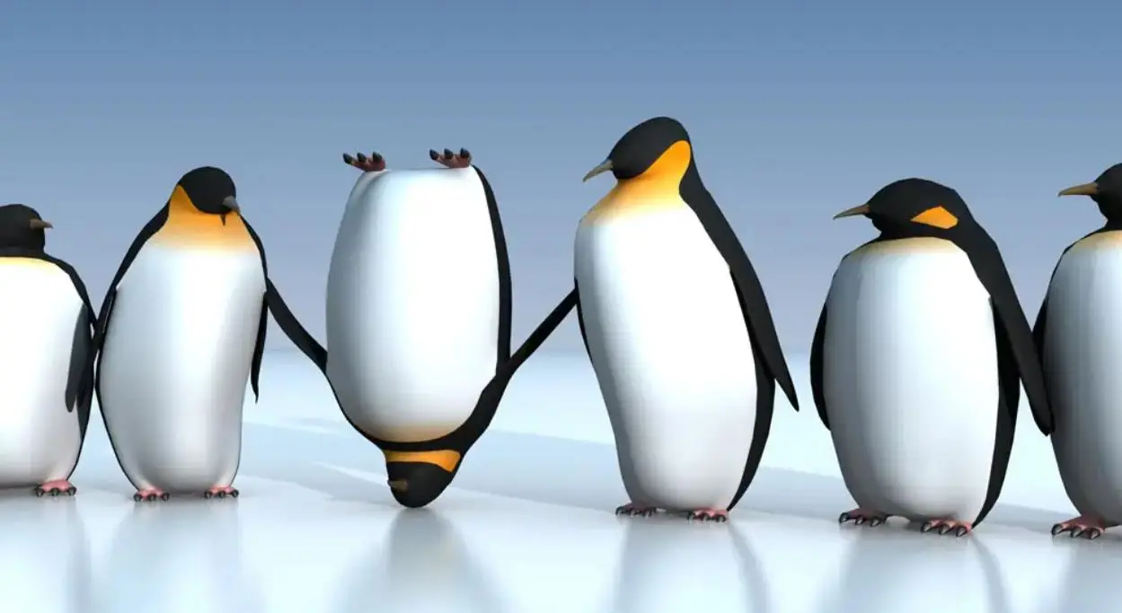 北极为何没有企鹅？80多年前放养在北极的69只企鹅