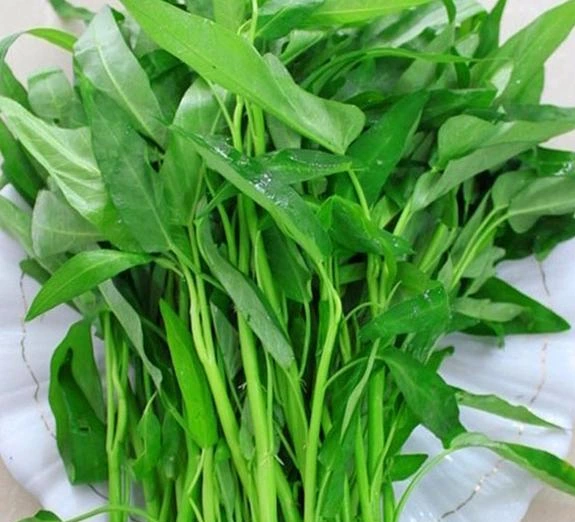 通心菜又叫“抽筋菜”?吃了真会抽筋吗?那通心菜还能不能吃了?