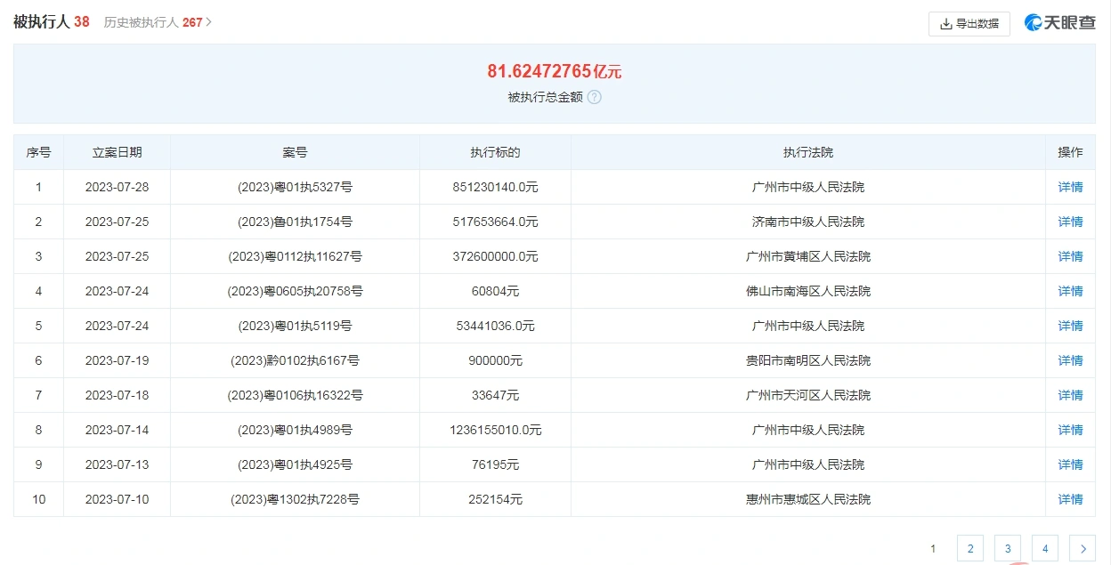 富力地产总裁张力回国后首次现身