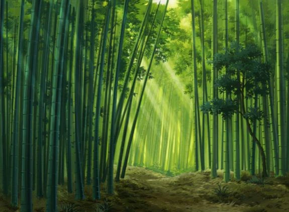 怪事!湖南一竹林无人却传出敲竹声,老人称是‘竹精鬼’,真的吗