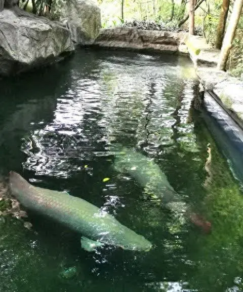 偷看撒尿PISSINGVIDEOS露脸