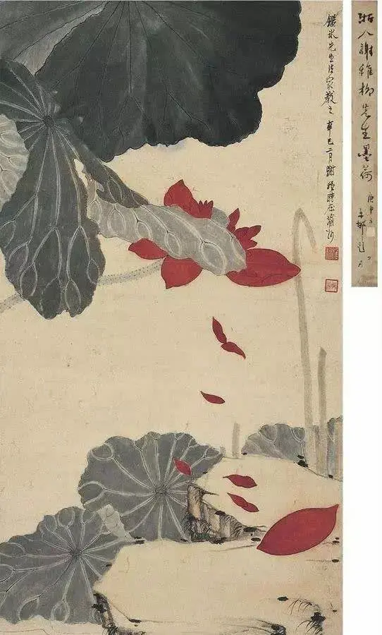 謝稚柳 花鳥 谢稚柳花鸟画欣赏