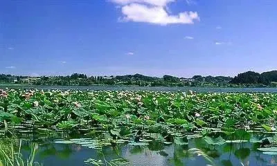 君子和小人的十大区别，帮助我们认清君子和小人