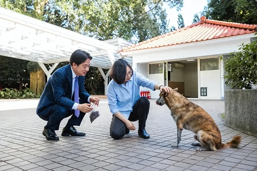 赖清德硬干到底却无力解决问题,刘宝杰:蔡英文这一举动是给他警告