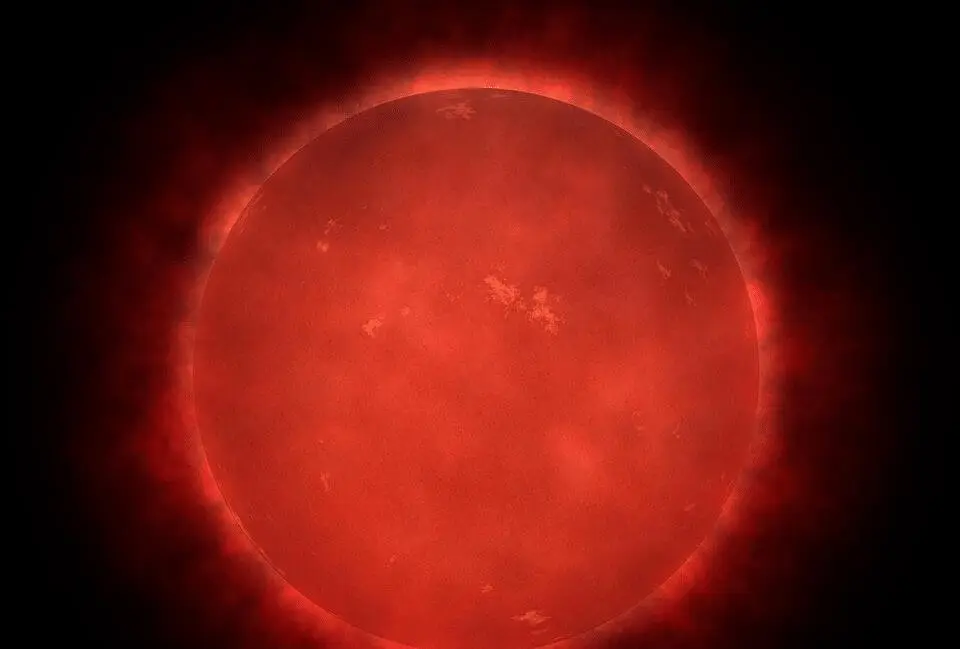 太阳的红矮星邻居为碳氧起源提供线索