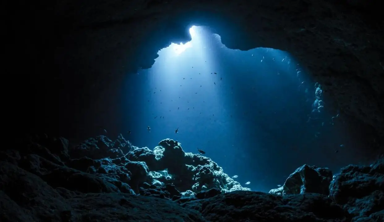 海底探索有多难？潜入深海1万米，奋斗者号顺利完成深海科考