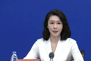 林琳,任福建一国企总经理(附简历)