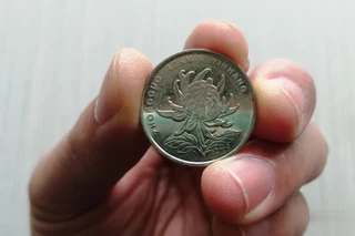 菊花1元”硬币这几个年份收藏价值高，千万别花掉！